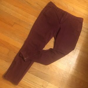 Ann Taylor LOFT Marisa chino pants with ankle zip